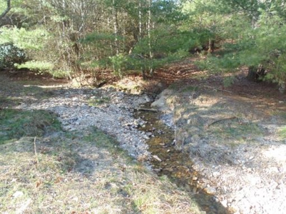 Farm Land With Creek In Floyd Va For Sale! - image 21