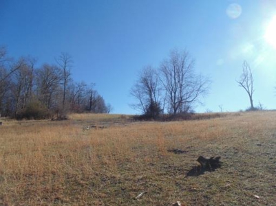 Farm Land With Creek In Floyd Va For Sale! - image 9