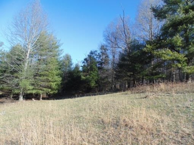 Farm Land With Creek In Floyd Va For Sale! - image 30