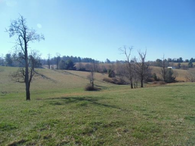 Farm Land With Creek In Floyd Va For Sale! - image 31