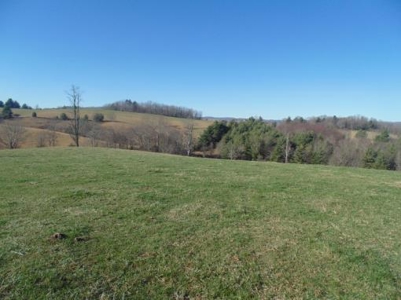 Farm Land With Creek In Floyd Va For Sale! - image 36