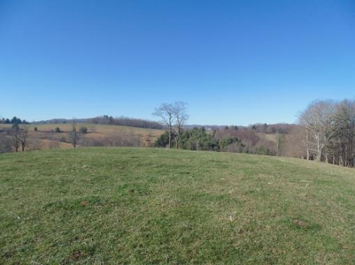 Farm Land With Creek In Floyd Va For Sale! - image 37