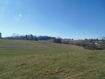 Farm Land With Creek In Floyd Va For Sale! - image 32