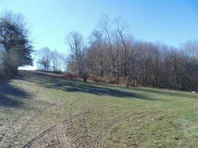 Farm Land With Creek In Floyd Va For Sale! - image 22
