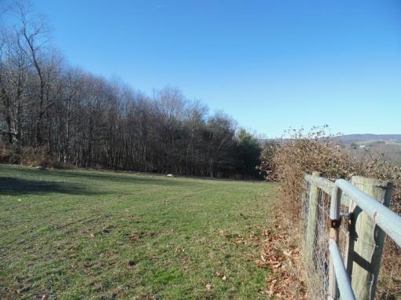 Farm Land With Creek In Floyd Va For Sale! - image 10