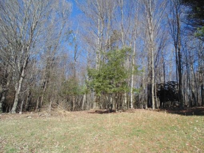 Farm Land With Creek In Floyd Va For Sale! - image 3