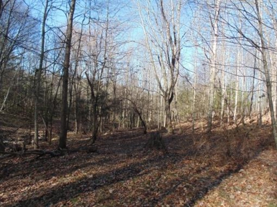Farm Land With Creek In Floyd Va For Sale! - image 4