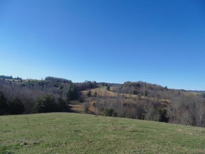 Farm Land With Creek In Floyd Va For Sale! - image 5