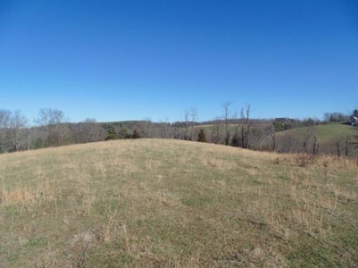 Farm Land With Creek In Floyd Va For Sale! - image 11