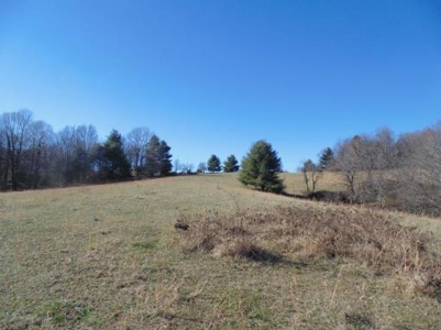 Farm Land With Creek In Floyd Va For Sale! - image 27