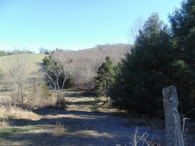 Farm Land With Creek In Floyd Va For Sale! - image 12