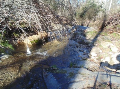 Farm Land With Creek In Floyd Va For Sale! - image 6