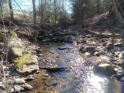 Farm Land With Creek In Floyd Va For Sale! - image 28
