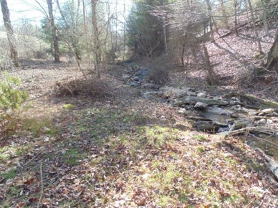 Farm Land With Creek In Floyd Va For Sale! - image 7