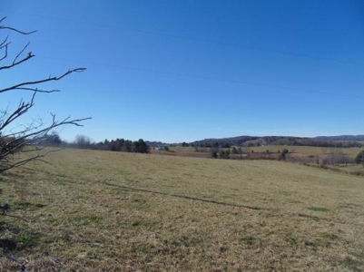 Farm Land With Creek In Floyd Va For Sale! - image 13