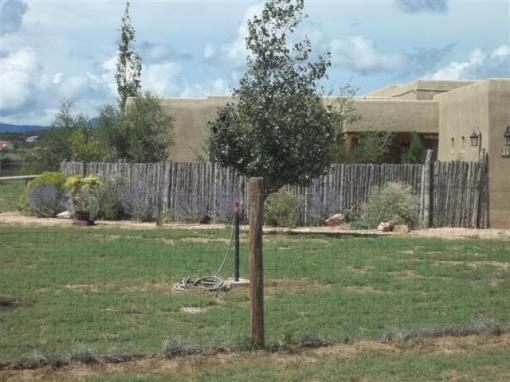 15 Good News Way Edgewood New Mexico