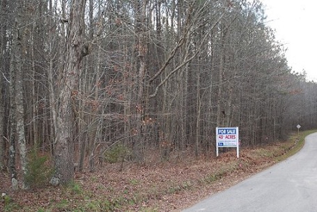 46+/- Acres Wooded Land In Dinwiddie Co. - image 2