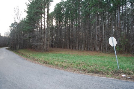46+/- Acres Wooded Land In Dinwiddie Co. - image 1