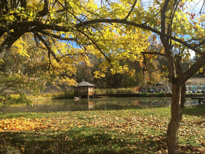 Grass Valley California Country Home For Sale - image 9