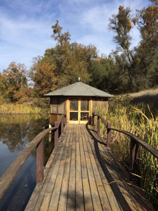 Grass Valley California Country Home For Sale - image 18