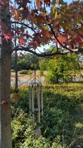 Grass Valley California Country Home For Sale - image 22