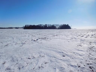 SOLD $8,025 per acre! Brookings County South Dakota - image 6