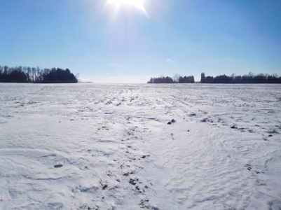 SOLD $8,025 per acre! Brookings County South Dakota - image 9