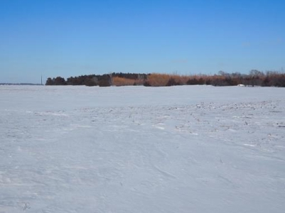 SOLD $8,025 per acre! Brookings County South Dakota - image 3