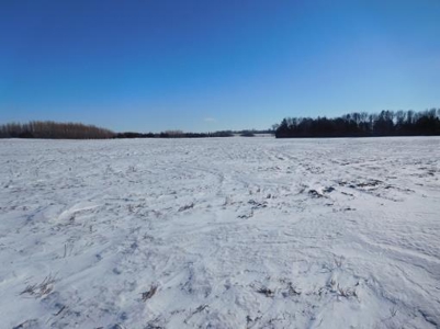 SOLD $8,025 per acre! Brookings County South Dakota - image 12