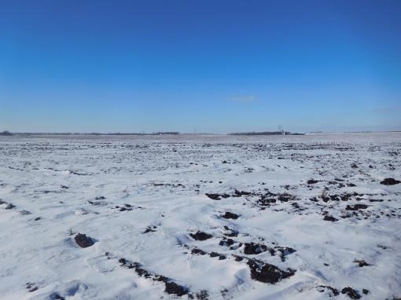 SOLD $8,025 per acre! Brookings County South Dakota - image 1