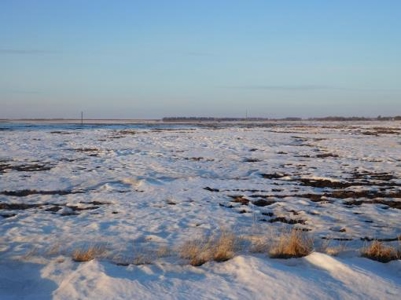 SOLD $8,025 per acre! Brookings County South Dakota - image 10