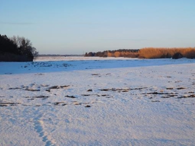 SOLD $8,025 per acre! Brookings County South Dakota - image 11