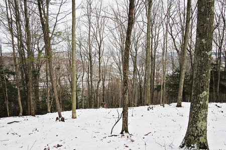 Tioga Hunting Land for Sale at Auction - image 1