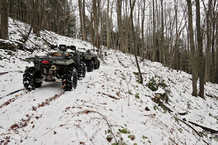 Tioga Hunting Land for Sale at Auction - image 3
