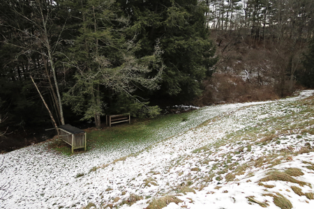 Tioga Hunting Land for Sale at Auction - image 14