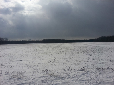 Vacant Land Auction - 5.42 Acre Building Lot - Sunbury, Ohio - image 2