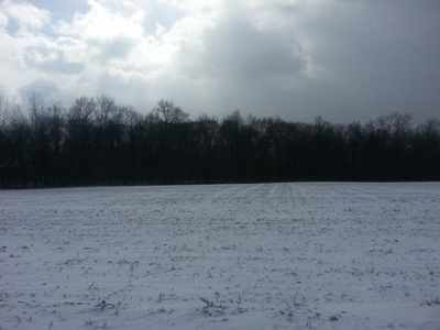Vacant Land Auction - 5.42 Acre Building Lot - Sunbury, Ohio - image 3