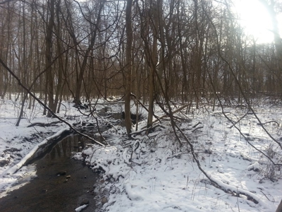 Vacant Land Auction - 5.42 Acre Building Lot - Sunbury, Ohio - image 4