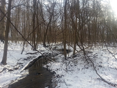 Vacant Land Auction - 5.42 Acre Building Lot - Sunbury, Ohio - image 5