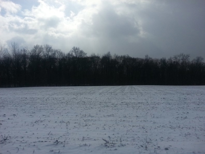 Vacant Land Auction - 8 Acre Wooded Lot - Sunbury, Ohio - image 2