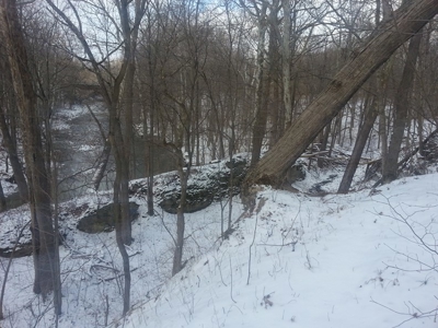 Vacant Land Auction - 8 Acre Wooded Lot - Sunbury, Ohio - image 3