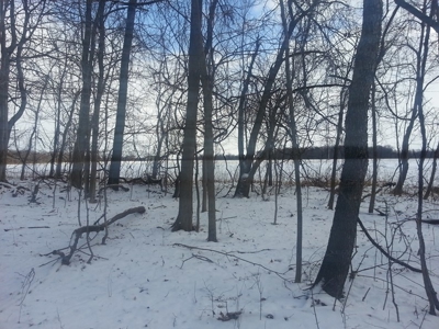 Vacant Land Auction - 8 Acre Wooded Lot - Sunbury, Ohio - image 4
