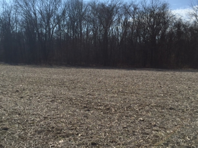 Vacant Land Auction - 5 Acre Building Lot - Sunbury, Ohio - image 4