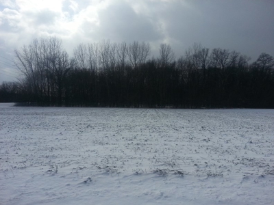 Vacant Land Auction - 5 Acre Building Lot - Sunbury, Ohio - image 2