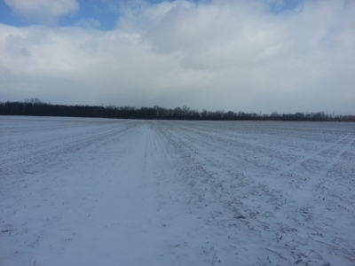 Vacant Land Auction - 41  Acres - Wooded and Tillable - Ohio - image 2
