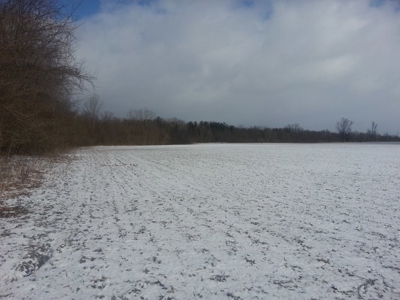 Vacant Land Auction - 41  Acres - Wooded and Tillable - Ohio - image 4