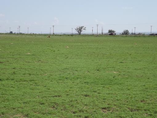 Greatly Reduced Farm Land Estancia New Mexico