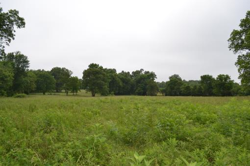 Acreage