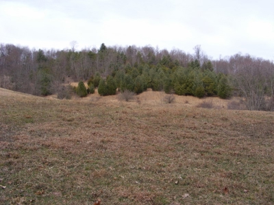 92 Acre Mountain Farm in Floyd County VA! - image 5