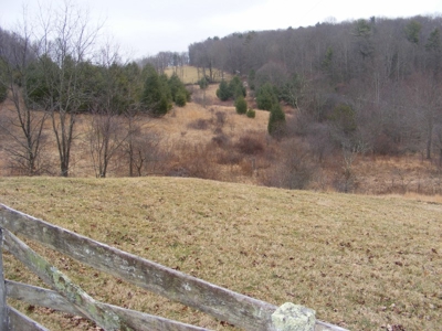 92 Acre Mountain Farm in Floyd County VA! - image 11